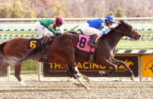 A Place to Shine (Laurel Park photo)