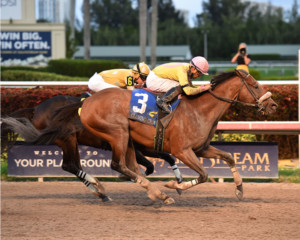 Royal Posse (Photo by Coglianese Photos)