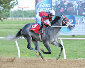 Welder was named Horse of the Meet at Will Rogers Downs (Photo by Coady Photography)